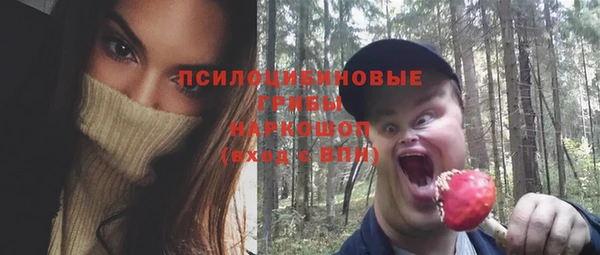 мет Аркадак