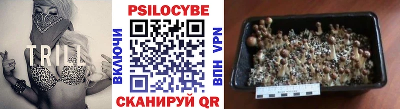 наркошоп  Новочеркасск  Галлюциногенные грибы Cubensis 